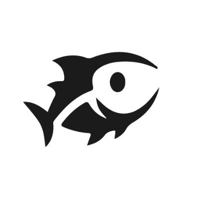 Solana上的CLMM杠杆协议DeFituna是什么？