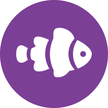 Neemo Finance是什么?