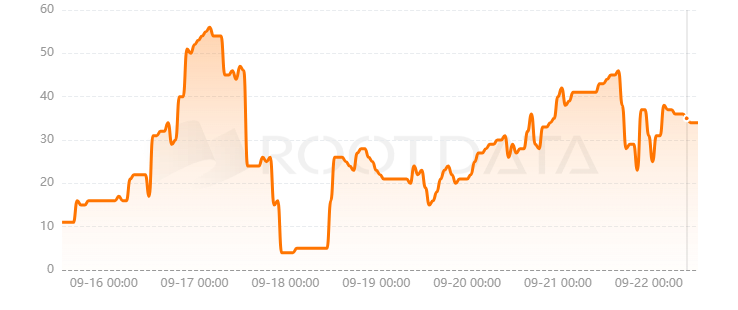 BOOK OF MEME是什么？