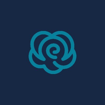 Rosa Finance是什么？