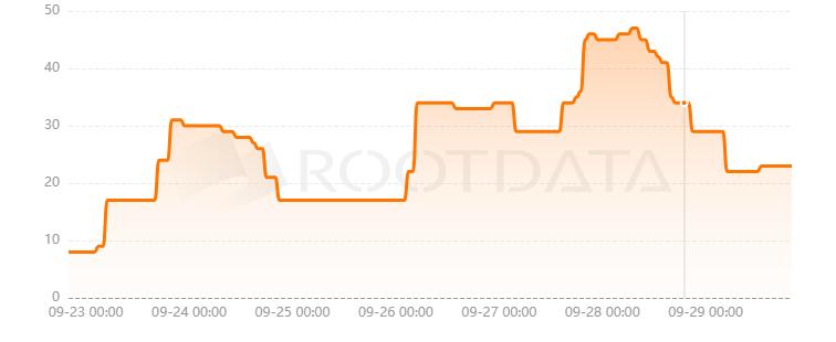 BonusBlock是什么？