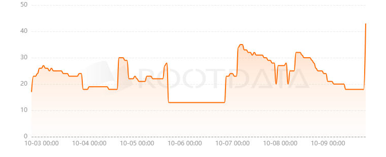 Chasm Network是什么？