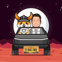 什么是FLOKI币?FLOKI币最新价格行情