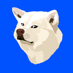 什么是RUSSELL币?RUSSELL币最新价格行情分析