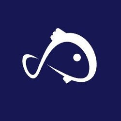 什么是KOII币?KOII币最新价格行情分析