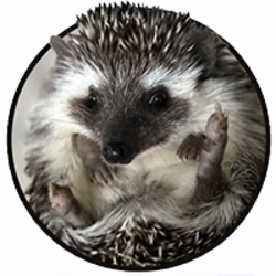 什么是SHRUB币？SHRUB币最新价格行情分析