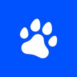 什么是BASEX币?BASEX币最新价格行情分析