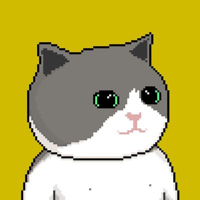 以猫为主题的NFTnaiive是什么？