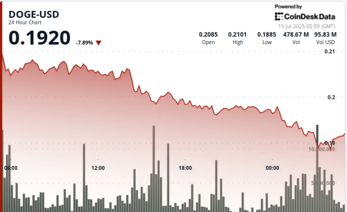 狗狗币DOGE行情暴跌10%,随后因机构交易量激增而迅速回升 狗狗币DOGE行情暴跌10%,随后因机构交易量激增而迅速回升
