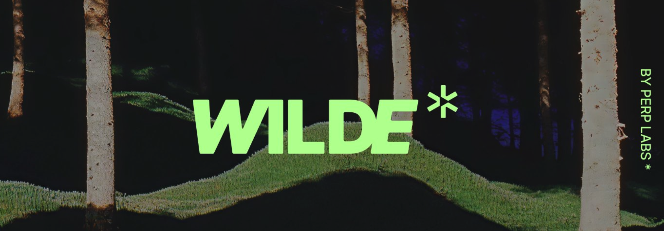 链上加密卡Wilde是什么? 链上加密卡Wilde是什么?