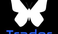AI代理DeFi平台daintrader是什么?
