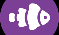Neemo Finance是什么?
