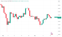 比特币分析师称现在判断比特币价格触底还为时过早