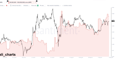瑞波币XRP看涨信号：鲸鱼疯狂购买2.23亿美元