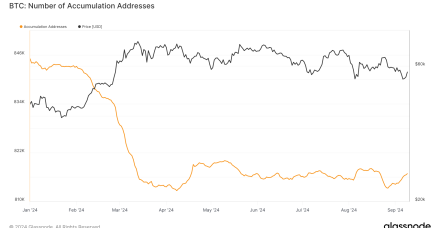 2024年比特币累积地址数量急剧下降
