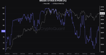 比特币价格稳固在6.3万美元上方，比特币持有者获利飙升至84%