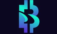 BlueSpade是什么？