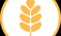 Granary Finance是什么？