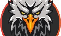 Falcon Swaps是什么?