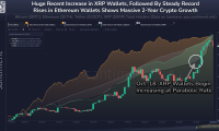 数据显示,瑞波币XRP钱包最近呈抛物线增长