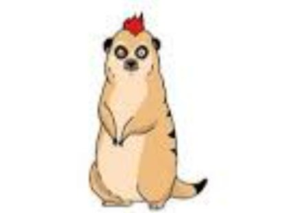 Meerkat Finance是什么?