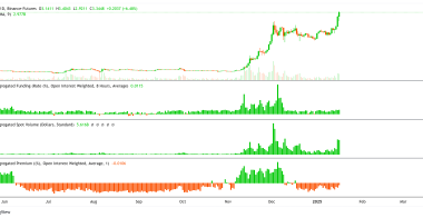 随着山寨币创下历史新高，瑞波币XRP关键价格指标将在2025年上涨300%
