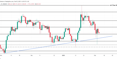 SOL币价格跌破210美元，投资者兴趣下降
