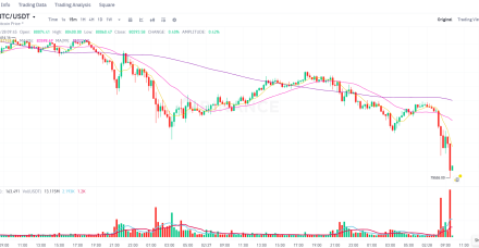 比特币价格跌破80000美元，随着调整持续，可能跌至美国选举前的水平
