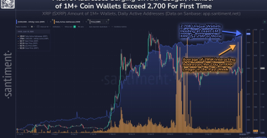 6月份投资者兴趣激增，瑞波币XRP创下鲸鱼钱包纪录
