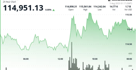 随着ETF资金回流，BTC 反弹至 11.5 万美元，但交易员仍在评估尾部风险