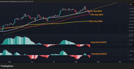 比特币价格的反弹乏力，未能降低下行风险；支撑位在 11.2 万美元附近