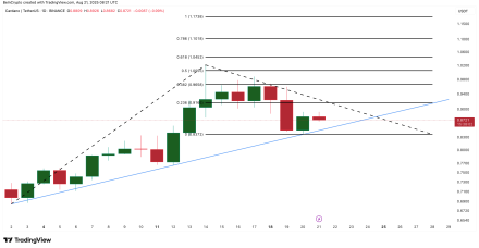 ADA价格保持看涨模式,但关键指标下跌 90% 可能带来麻烦