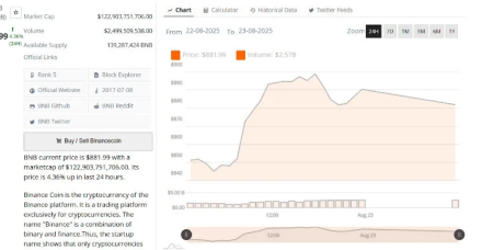币安币价格攀升至历史最高点,有望突破1000美元大关