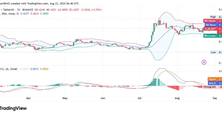 随着购买压力增强至关键支撑位上方,恒星币目标价为 0.60 美元